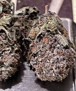 PURPLE HAZE 3.5g SATIVA 33%THC  SUMMER SALE 🔥🔥🔥 CRAFT CANNABIS SMALL BATCH 🔥🔥