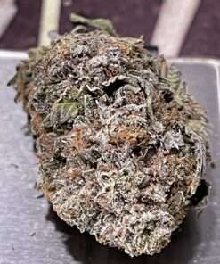 PLATINUM OG 3.5grams 32%THC CRAFT CANNABIS OLD SCHOOL PLATINUM ON SALE 🔥🔥🔥