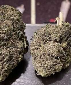 PINA COLADA 7 grams QUARTER 25% THC HYBRID