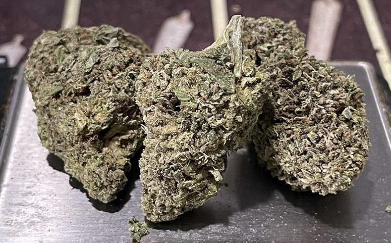 JET FUEL 7 GRAMS QUARTER 🔥SUMMER SALE SATIVA 🔥25%THC JET FUEL 7 GRAMS QUARTER 🔥SUMMER SALE SATIVA 🔥25%THC
