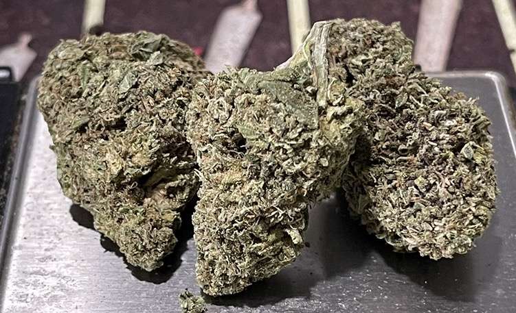JET FUEL 7 GRAMS QUARTER 🔥SUMMER SALE SATIVA 🔥25%THC JET FUEL 7 GRAMS QUARTER 🔥SUMMER SALE SATIVA 🔥25%THC