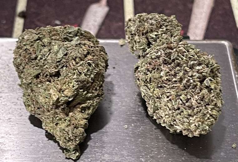 JET FUEL 7 GRAMS QUARTER 🔥SUMMER SALE SATIVA 🔥25%THC JET FUEL 7 GRAMS QUARTER 🔥SUMMER SALE SATIVA 🔥25%THC