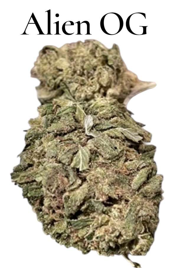 ALIEN OG 7 GRAMS QUARTER 🎉MOTHERS DAY SALE 🎉26%THC HYBRID ALIEN OG 7 GRAMS QUARTER 🎉MOTHERS DAY SALE 🎉26%THC HYBRID