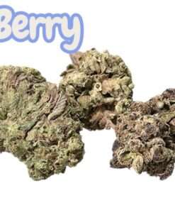 GAS BERRY 🫐 7GRAMS QUARTER 🎉MOTHERS DAY🎉 24%HYBRID 🎉🎉