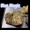 BLUE MAGIC 28grams Oz SALE SATIVA 25%THC