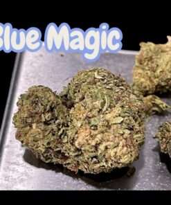BLUE MAGIC 28grams Oz SALE SATIVA 25%THC