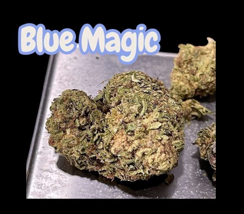 BLUE MAGIC 28grams Oz SALE SATIVA 25%THC BLUE MAGIC 28grams Oz SALE SATIVA 25%THC