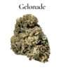 GELONADE 28g OZ ON SALE 🔥🔥🔥HYBRID 25% THC