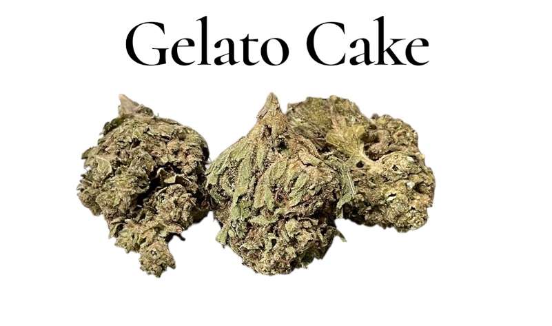 GELATO CAKE 7GRAMS 🎉SPRING SALE 🎉INDICA 24%THC GELATO CAKE 7GRAMS 🎉SPRING SALE 🎉INDICA 24%THC