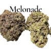 MELONADE 7GRAMS QUARTER 🎉SPRING SALE🎉 SATIVA 26%THC