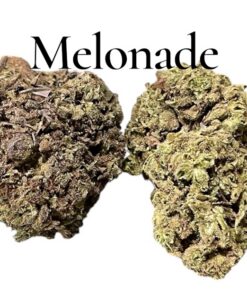 MELONADE 7GRAMS QUARTER 🎉SPRING SALE🎉 SATIVA 26%THC