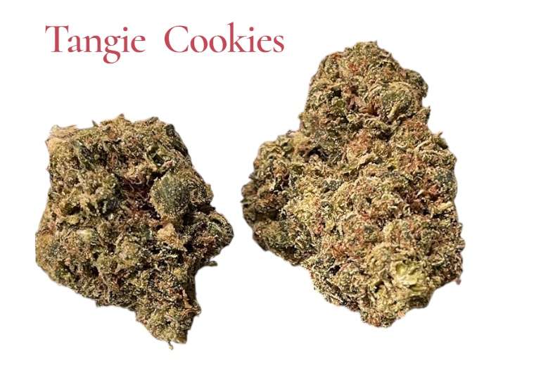 TANGIE COOKIES 28grams Oz 25%THC SATIVA TANGIE COOKIES 28grams Oz 25%THC SATIVA