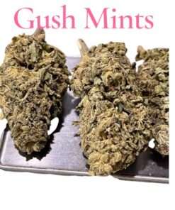 GUSH MINTS28g OZ ON SALE $100 INDICA 25%THC FRESH BATCH 🔥🔥