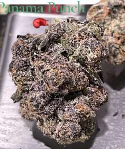 PANAMA PUNCH 🥊 28grams SATIVA 37%THC EXOTIC 🏆CUP WINNER LIMITED BATCH🏆