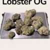 LOBSTER 🦞 OG 3.5grams INDICA EXOTICS 36%THC (small Nugs)
