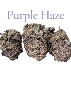 PURPLE HAZE 3.5g SATIVA 33%THC  SUMMER SALE 🔥🔥🔥 CRAFT CANNABIS SMALL BATCH 🔥🔥