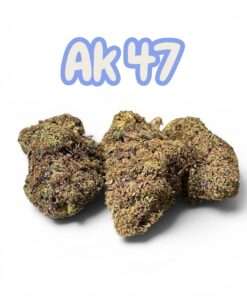 AK47 QUARTER 7 GRAMS SuMMER SALE 25%THC SATIVA DOM