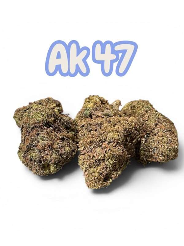 AK-47 Review: A Legendary Hybrid Delivering Fast-Acting Euphoria, Creative Energy, and Lasting Balance
