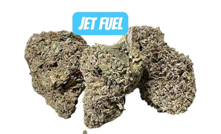 JET FUEL 7 GRAMS QUARTER 🔥SUMMER SALE SATIVA 🔥25%THC JET FUEL 7 GRAMS QUARTER 🔥SUMMER SALE SATIVA 🔥25%THC