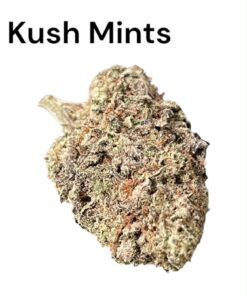 KUSH MINTS 4GRAMS HYBRID 🎉SUMMER SALE🎉🔥 30%THC