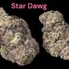 STARDAWG 91 INDICA 28GRAMS LIMITED BATCh   35%THC 🏆🏆 🔥🔥EXOTICS