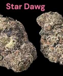 STARDAWG 91 INDICA 28GRAMS LIMITED BATCh   35%THC 🏆🏆 🔥🔥EXOTICS