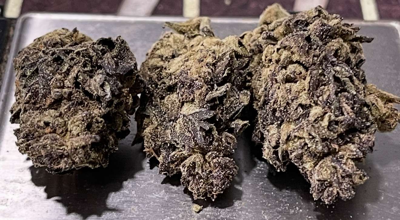 BROWNIE SCOUT 7GRAMS SALE QUARTER INDICA 25%THC 🔥🔥 BROWNIE SCOUT 7GRAMS SALE QUARTER INDICA 25%THC 🔥🔥