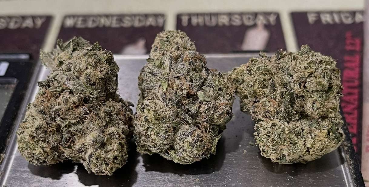 SLEEPING JOE 3.5grams 🏆EXOTICS 35%THC 🔥🔥 INDICA SLEEPING JOE 3.5grams 🏆EXOTICS 35%THC 🔥🔥 INDICA