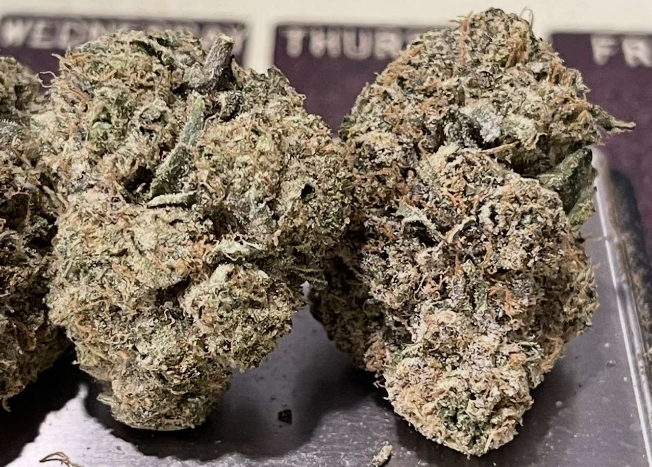THE WASHER 3.5grams 🏆🏆EXOTICS 35%THC HYBRID 🔥🔥🔥 THE WASHER 3.5grams 🏆🏆EXOTICS 35%THC HYBRID 🔥🔥🔥