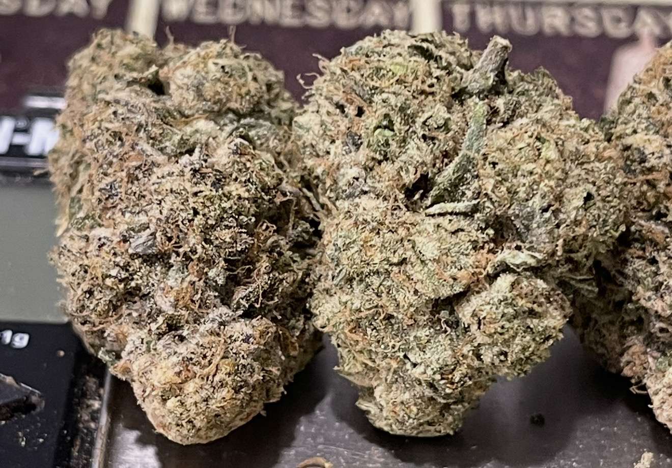 THE WASHER 3.5grams 🏆🏆EXOTICS 35%THC HYBRID 🔥🔥🔥 THE WASHER 3.5grams 🏆🏆EXOTICS 35%THC HYBRID 🔥🔥🔥