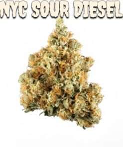 NYC SOUR DIESEL 🔥🔥 36%THC SATIVA 🏀KNICKS SALE🏀 OLD SCHOOL NY SOUR🔥🔥