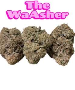 THE WASHER 3.5grams 🏆🏆EXOTICS 35%THC HYBRID 🔥🔥🔥