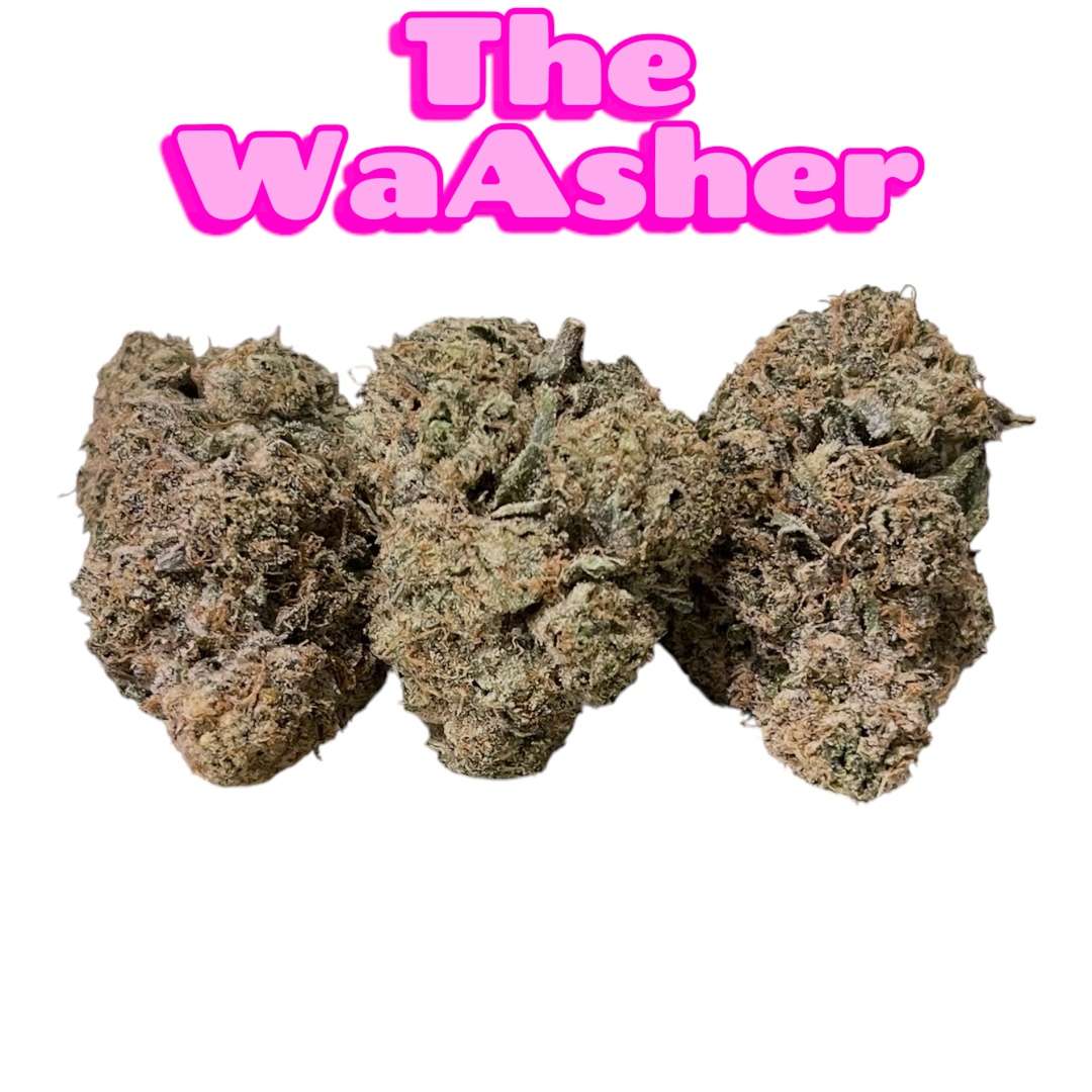 THE WASHER 3.5grams 🏆🏆EXOTICS 35%THC HYBRID 🔥🔥🔥 THE WASHER 3.5grams 🏆🏆EXOTICS 35%THC HYBRID 🔥🔥🔥