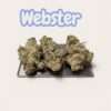 WEBSTER 28grams  OZ ON SALE SATIVA 25%THC