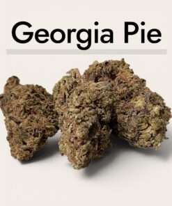 GEORGIA PIE  7 GRAMS SALE 26%THC HYBRID