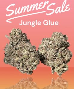 JUNGLE GLUE 4GRAMS HYBRID 30%THC 🎉🔥SUMMER  SALE🎉🔥