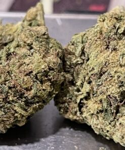 DOSIDOS 7GRAMS QUARTER 25%THC INDICA