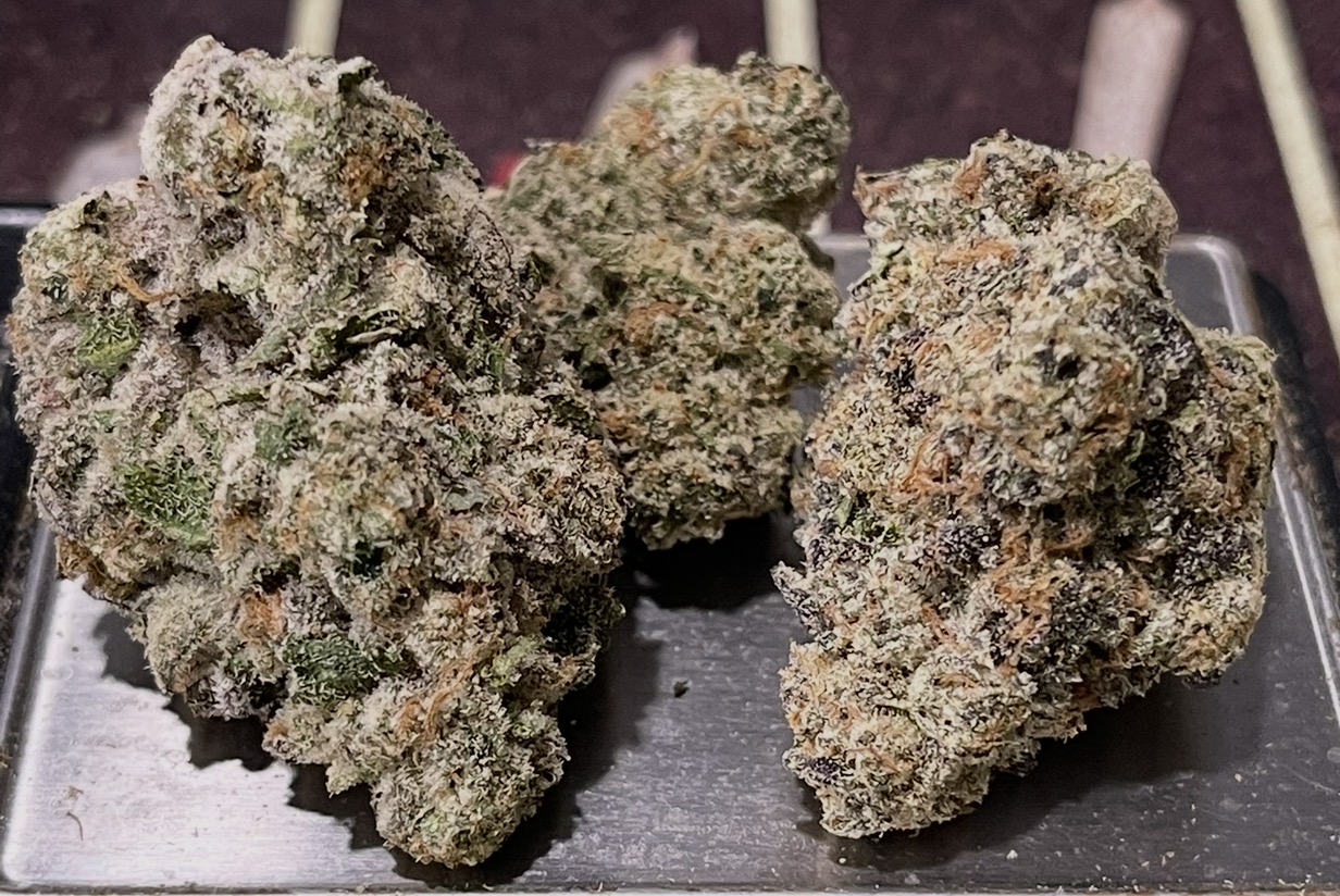 MEMORY LOSS 28grams OZ 36% THC SATIVA 🏆EXOTiCS ON SALE MEMORY LOSS 28grams OZ 36% THC SATIVA 🏆EXOTiCS ON SALE