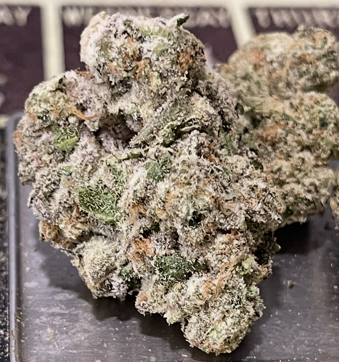 MEMORY LOSS 28grams OZ 36% THC SATIVA 🏆EXOTiCS ON SALE MEMORY LOSS 28grams OZ 36% THC SATIVA 🏆EXOTiCS ON SALE