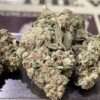 HASH PLANT 7GRAMS QUARTER 25%THC INDICA ⛱️SUMMER SALE⛱️