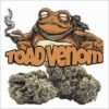 TOAD VENOM 3.5grams 🐸🐸38%THC HYBRID  🏆EXOTIC BATCH🏆