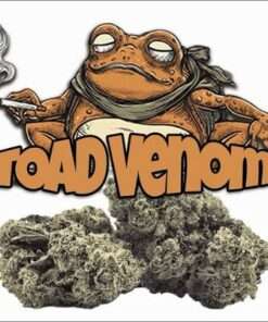 TOAD VENOM 3.5grams 🐸🐸38%THC HYBRID  🏆EXOTIC BATCH🏆