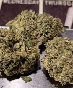 DUTCH HAWAIN 28grams SATIVA 25%THC