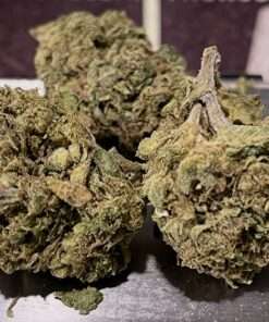 DUTCH HAWAIN 28grams SATIVA 25%THC