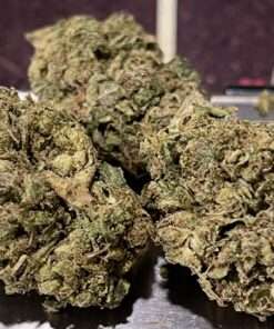DUTCH HAWAIN 28grams SATIVA 25%THC