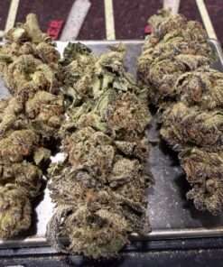 JOKERZ 28grams HYBRiD 28grams OZ 25%THC