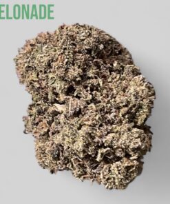 MELONADE 7 grams QUARTER 26%THC SATIVA MELONADE 7 grams QUARTER 26%THC SATIVA