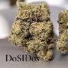 DOSIDOS 7GRAMS QUARTER 25%THC INDICA