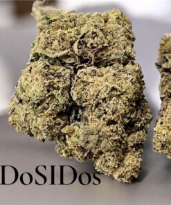 DOSIDOS 7GRAMS QUARTER 25%THC INDICA DOSIDOS 7GRAMS QUARTER 25%THC INDICA
