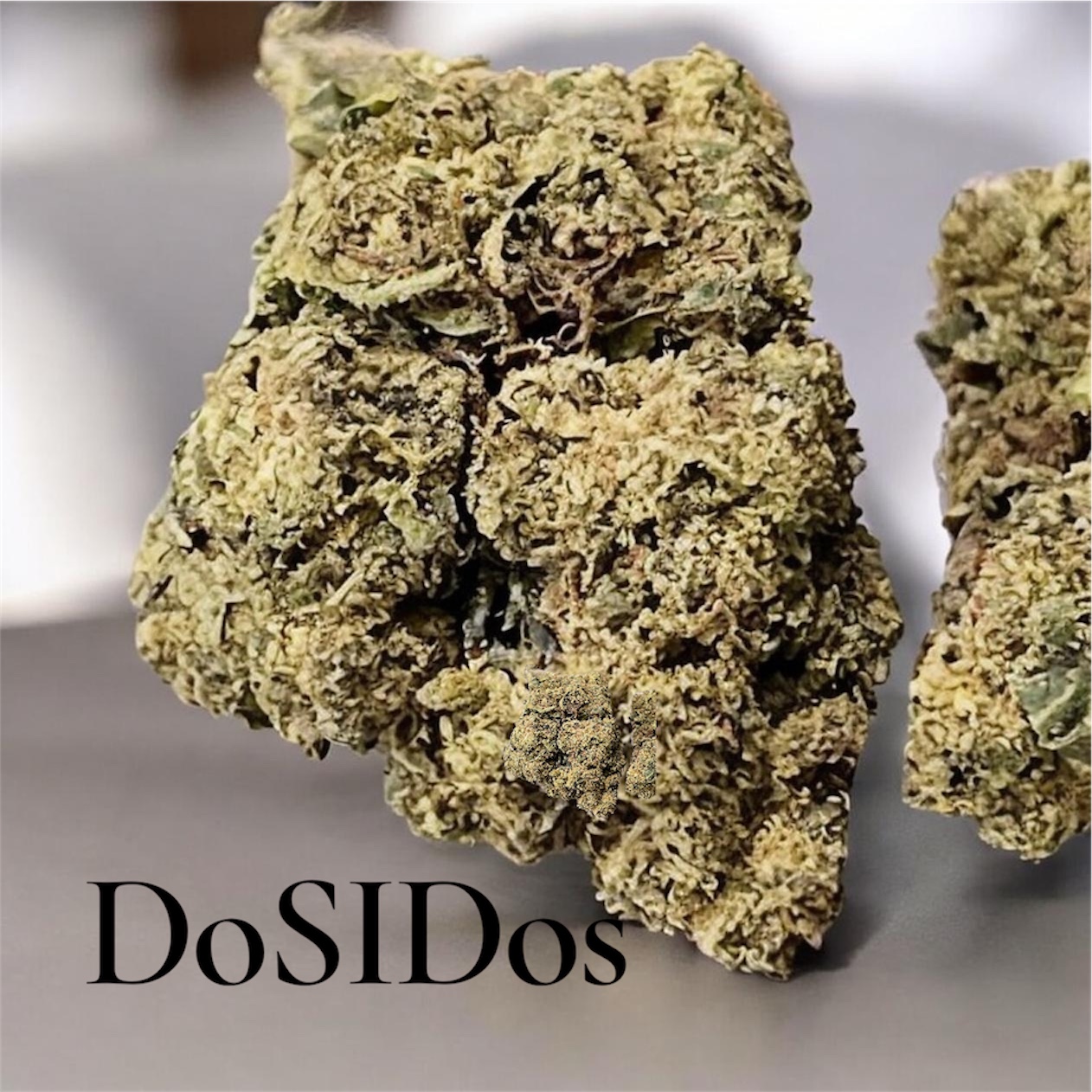 DOSIDOS 7GRAMS QUARTER 25%THC INDICA DOSIDOS 7GRAMS QUARTER 25%THC INDICA